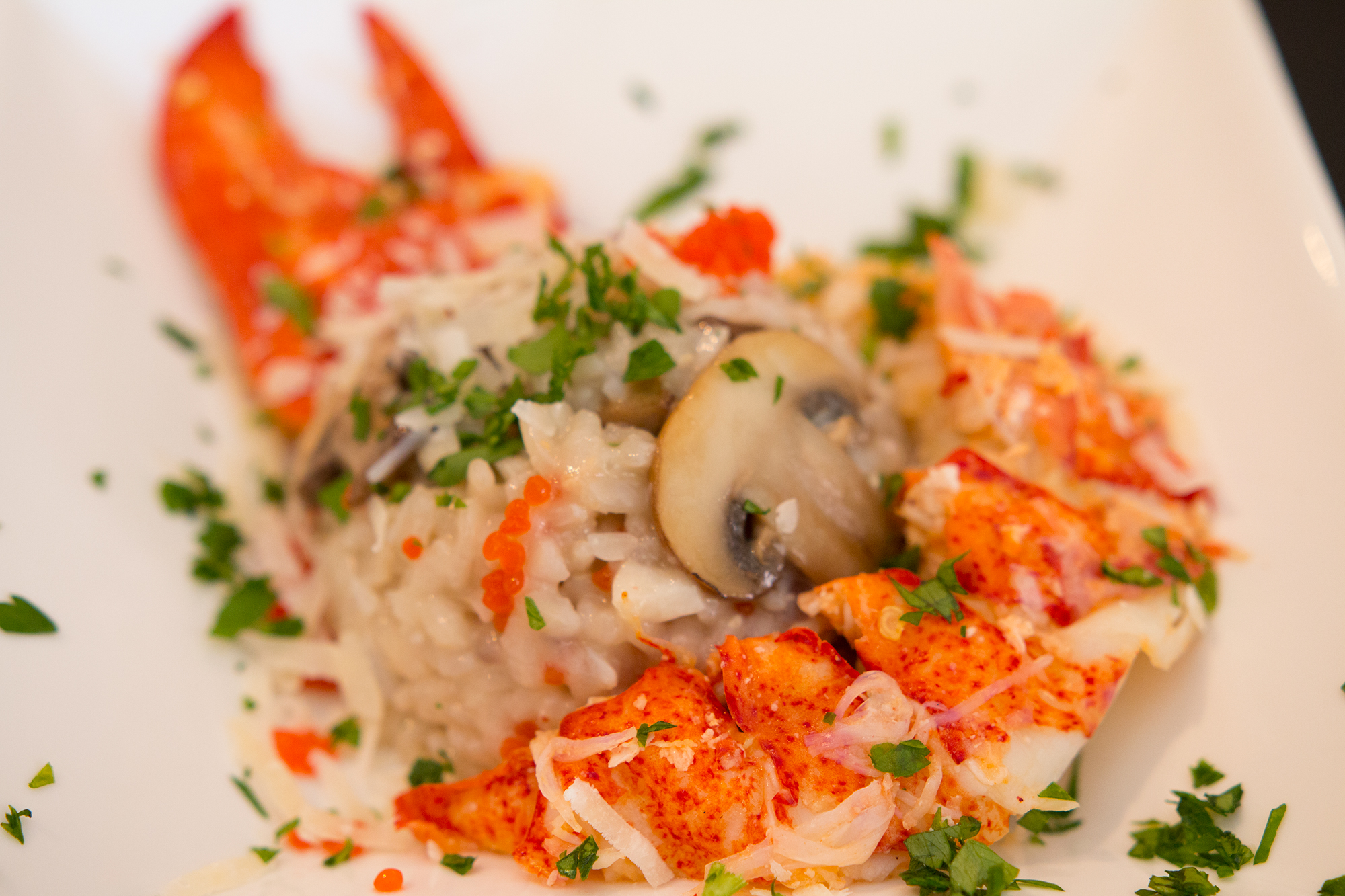 Lobster and Mushroom Risotto